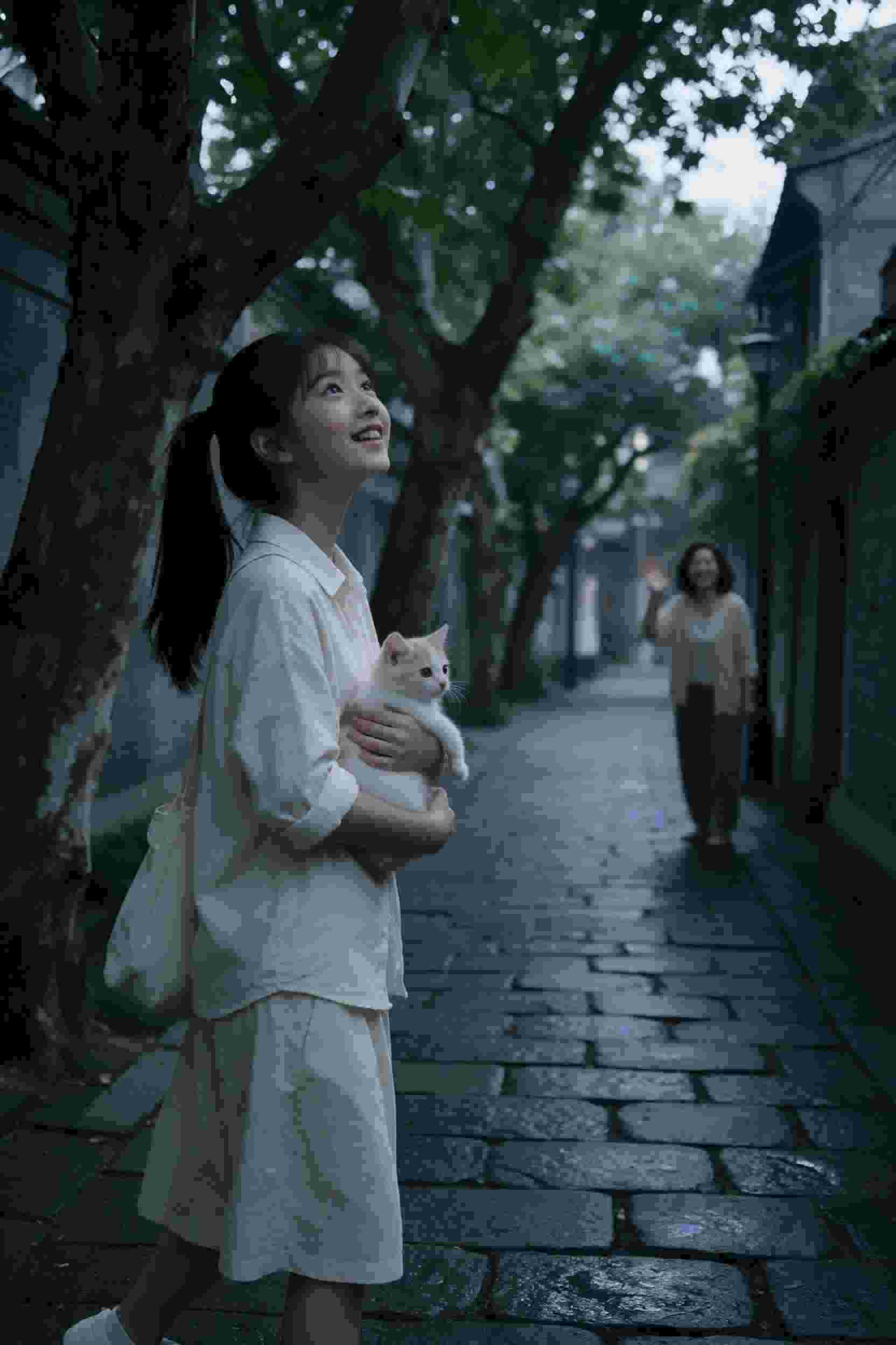 热门推荐7